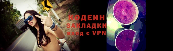 МДПВ Вяземский