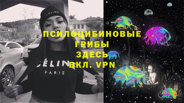 МДПВ Вяземский