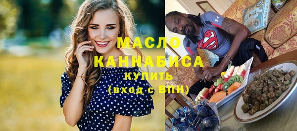 МДПВ Вяземский