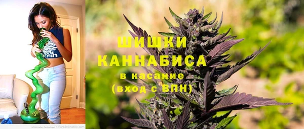 МДПВ Вяземский