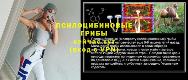 МДПВ Вяземский