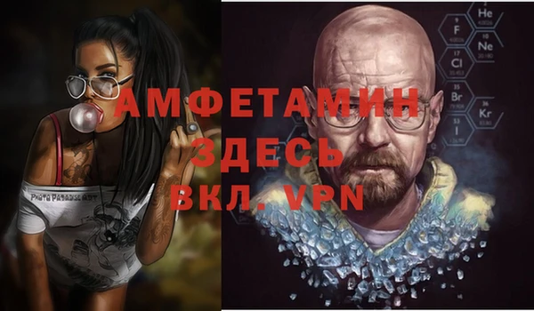 МДПВ Вяземский