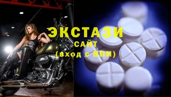 МДПВ Вяземский