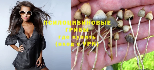 МДПВ Вяземский
