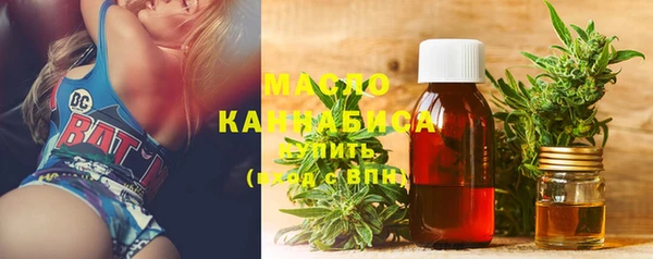 МДПВ Вяземский